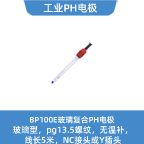 昆仑海岸[ColliHigh]BP100E型PH电极